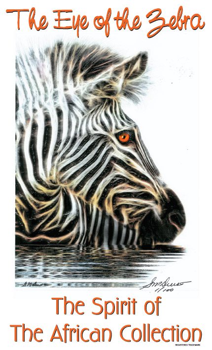 eye-zebra